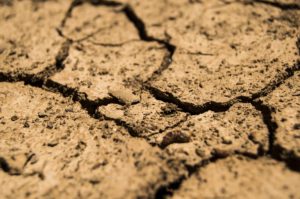 Cracked Soil Due to Drought