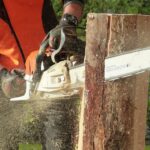 Person using a chainsaw to cut a tree stump vertically.