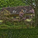 Home with Vegetation on Exterior